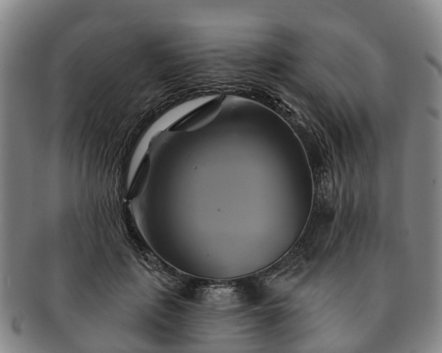 X0000091590651200708271244