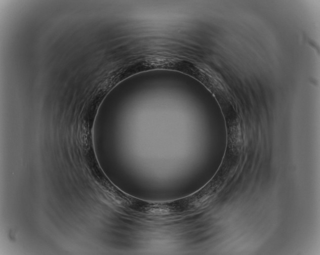 X0000091590653200708271244