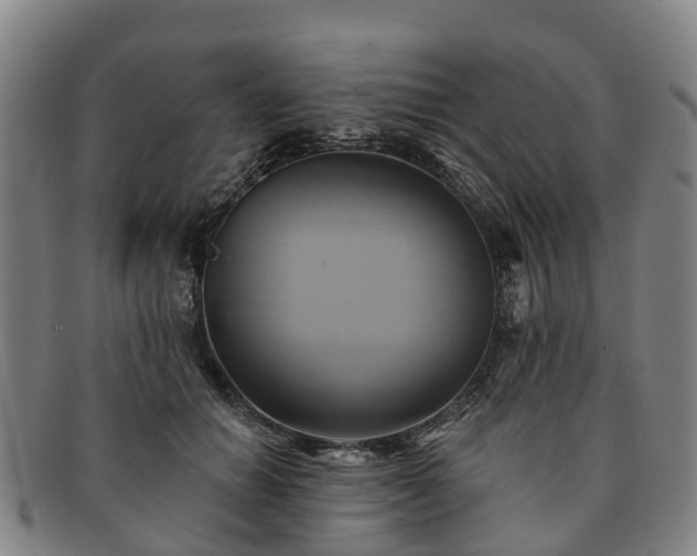 X0000091590654200708271244