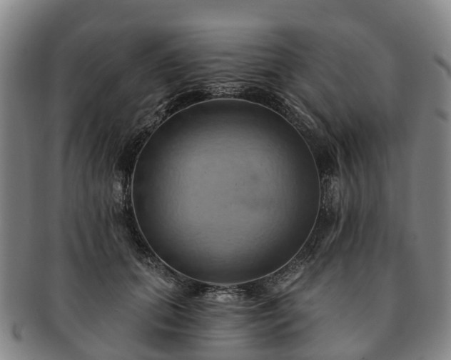 X0000091590655200708271244