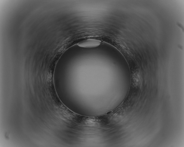 X0000091590657200708271244