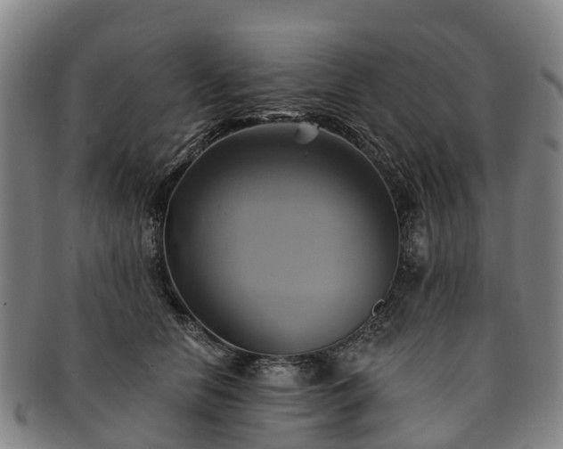 X0000091590658200708271244