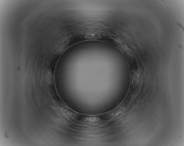 X0000091590659200708271244