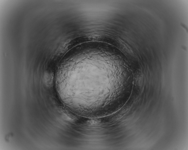 X0000091590660200708271244