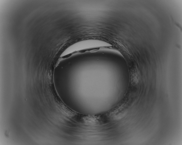 X0000091590661200708271244