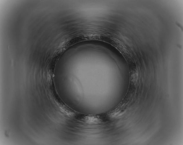 X0000091590662200708271244