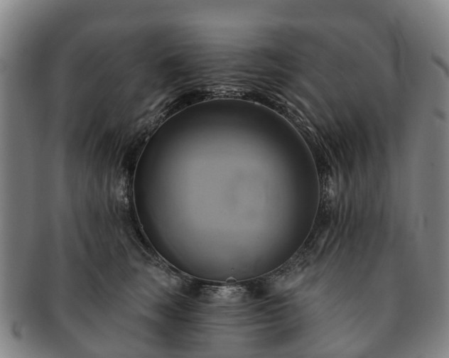 X0000091590663200708271244
