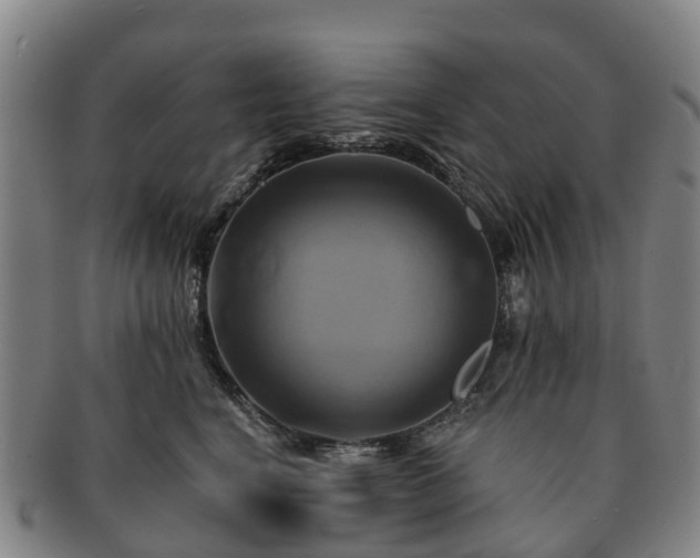 X0000091590664200708271244