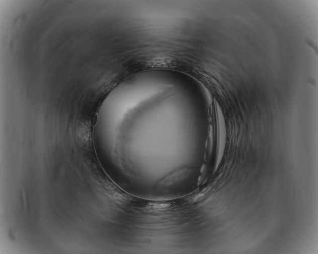 X0000091590665200708271244