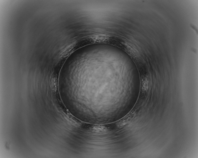X0000091590666200708271244