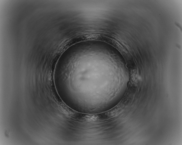 X0000091590667200708271245
