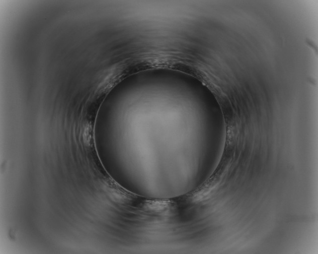 X0000091590671200708271245