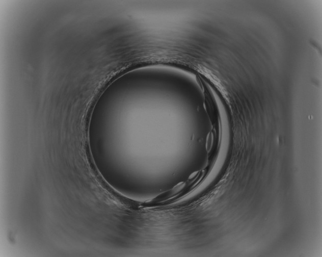 X0000091590673200708271244