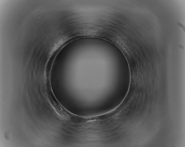 X0000091590674200708271244