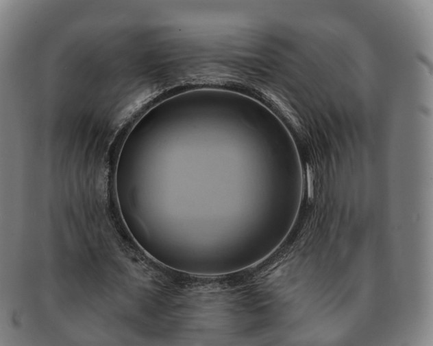 X0000091590675200708271244