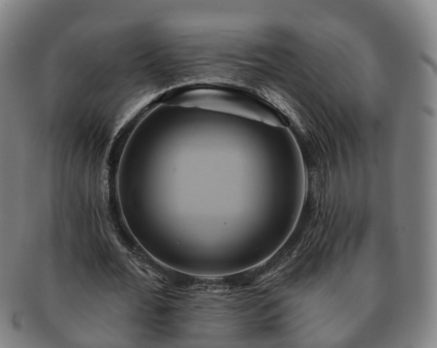 X0000091590676200708271244