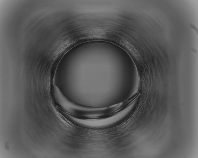 X0000091590677200708271244