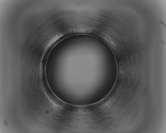 X0000091590678200708271244