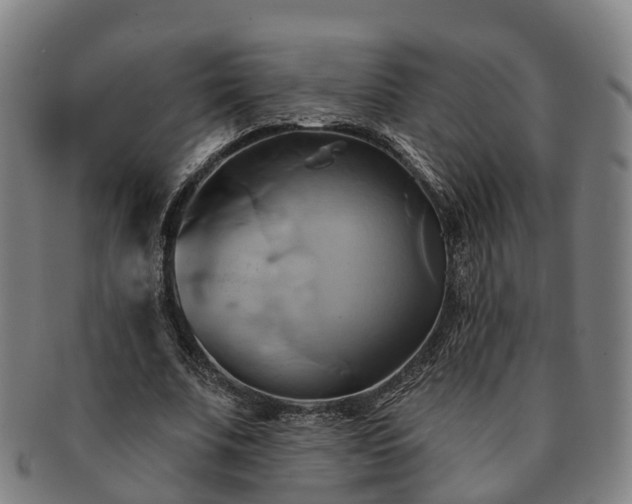 X0000091590679200708271244