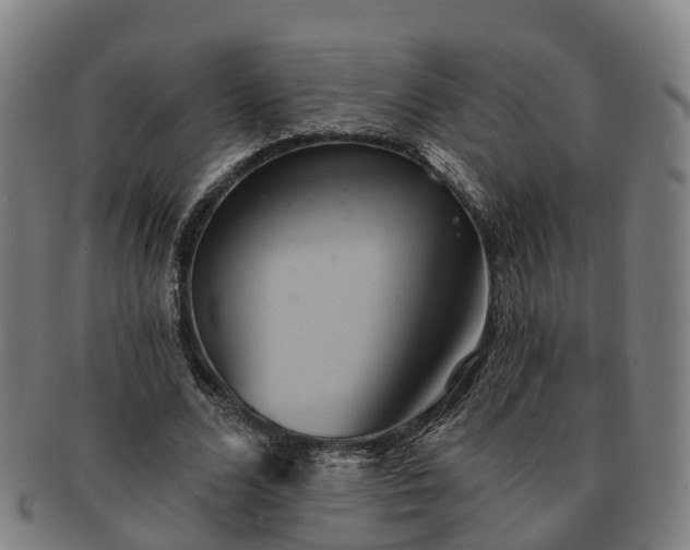 X0000091590680200708271244