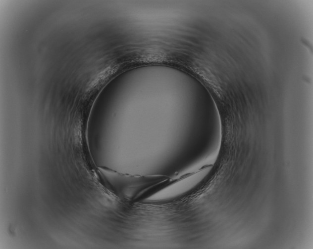 X0000091590681200708271244