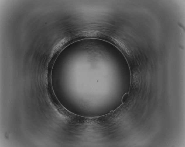 X0000091590682200708271244