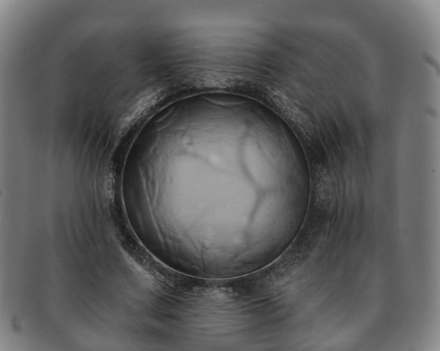 X0000091590683200708271244