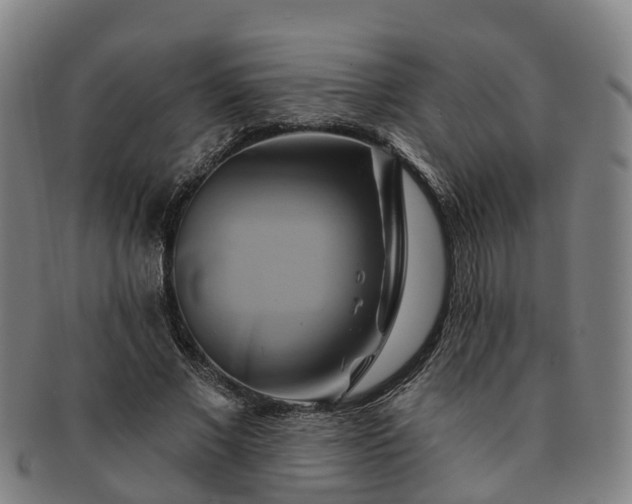 X0000091590685200708271244