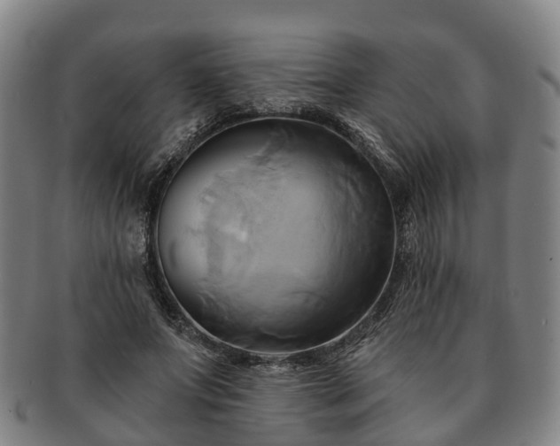 X0000091590687200708271244