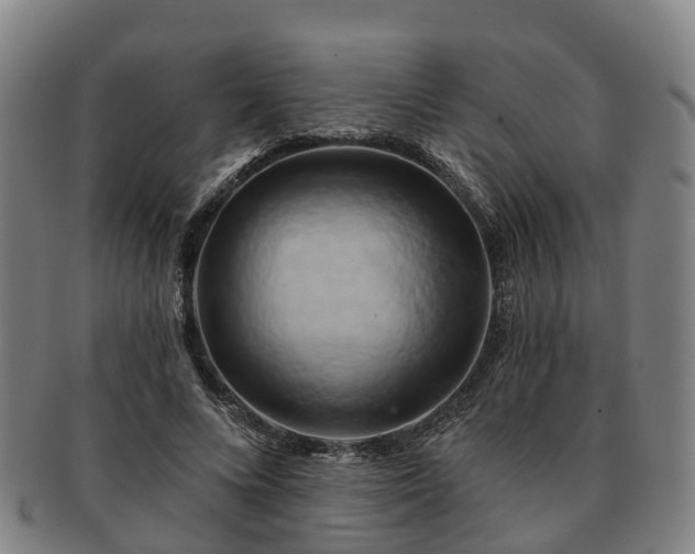 X0000091590688200708271244