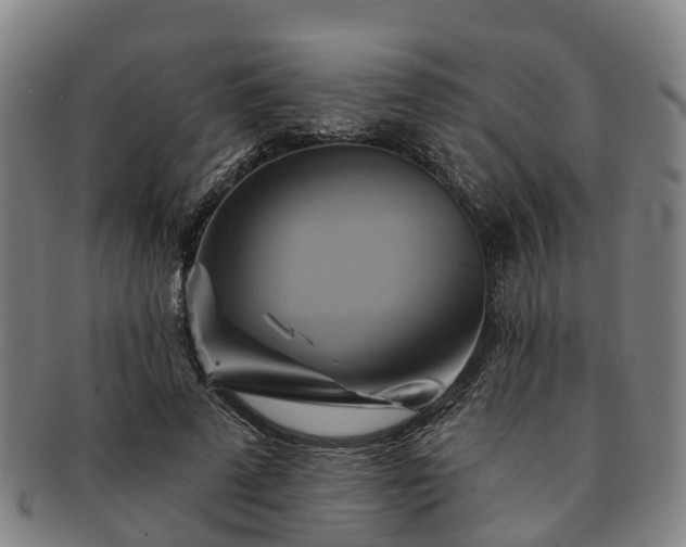 X0000091590689200708271244
