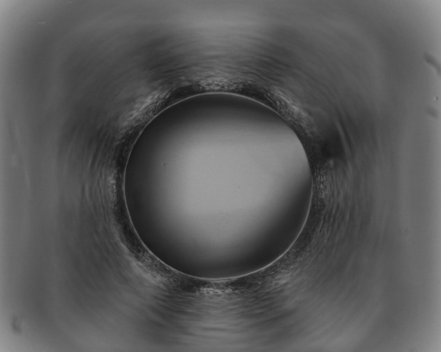 X0000091590690200708271244