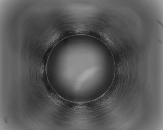 X0000091590691200708271244