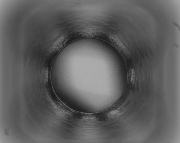X0000091590694200708271244