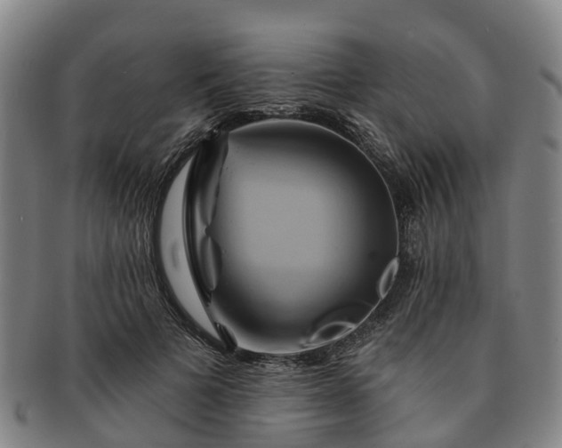 X0000091590697200708271244
