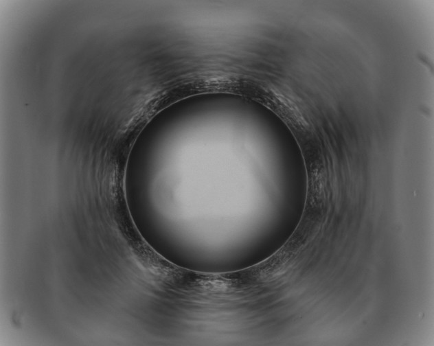 X0000091590698200708271244