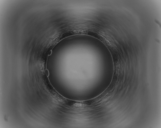 X0000091590699200708271244