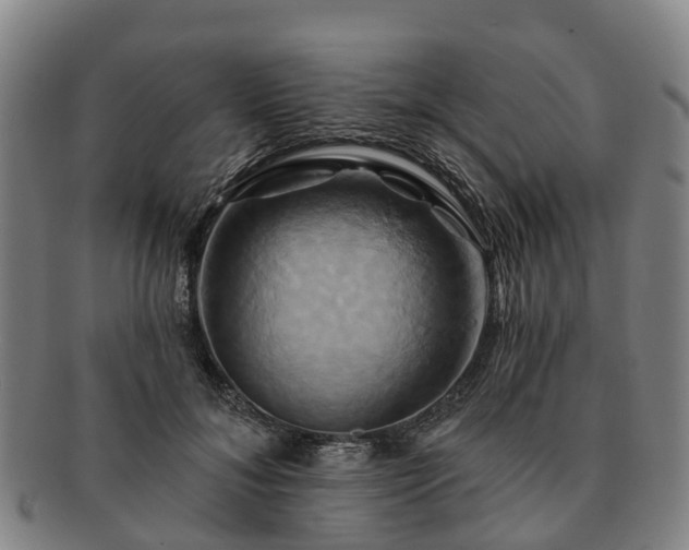 X0000091590700200708271244