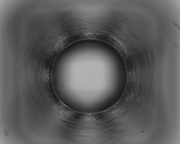 X0000091590702200708271244