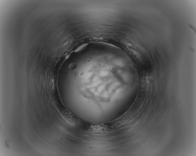 X0000091590703200708271244