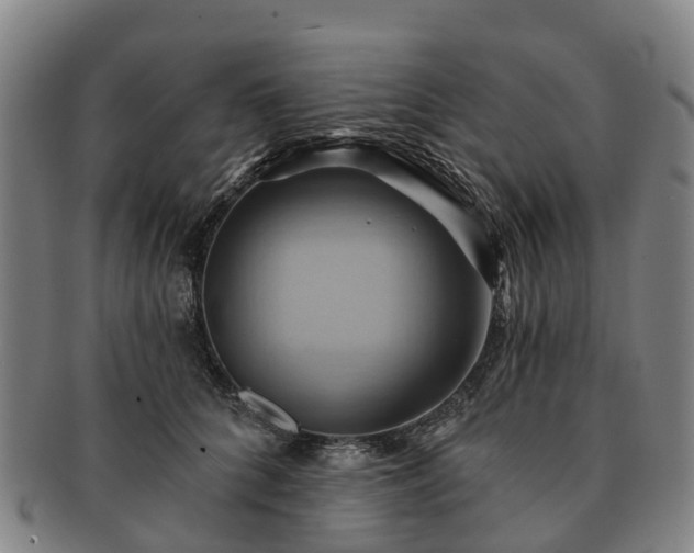 X0000091590704200708271243