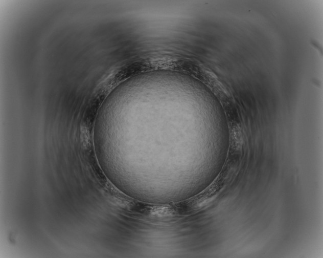 X0000091590705200708271243