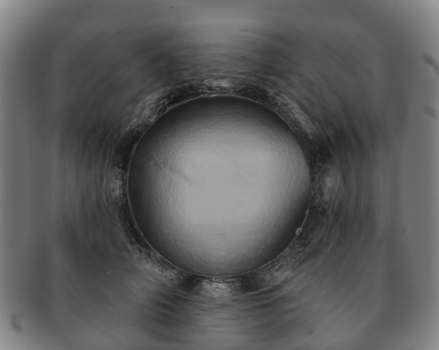X0000091590706200708271243