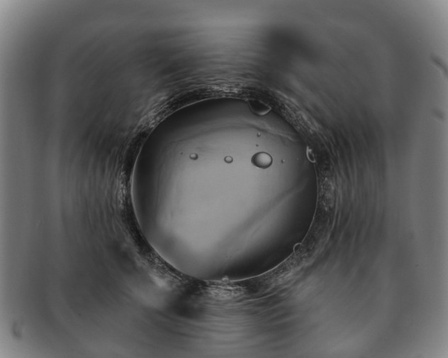 X0000091590707200708271243