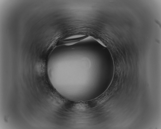 X0000091590708200708271243