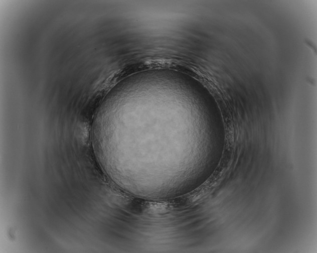 X0000091590709200708271243