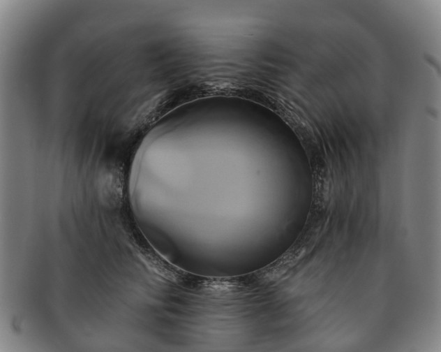 X0000091590710200708271243