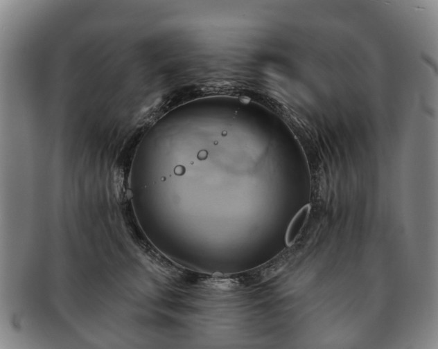 X0000091590711200708271243
