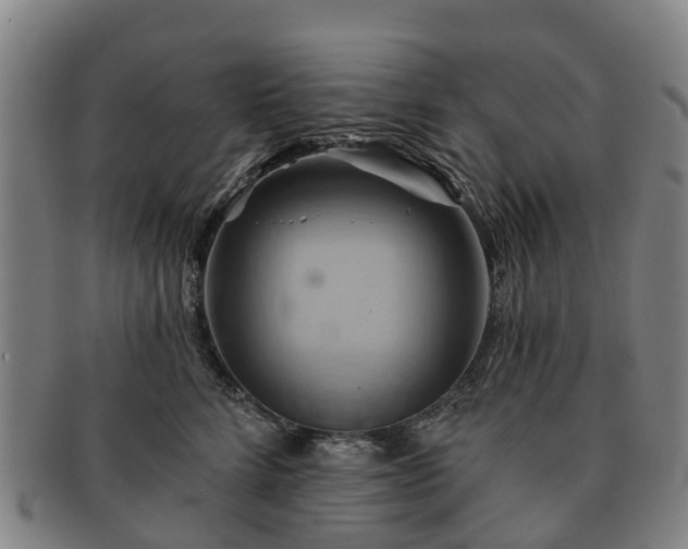 X0000091590712200708271243