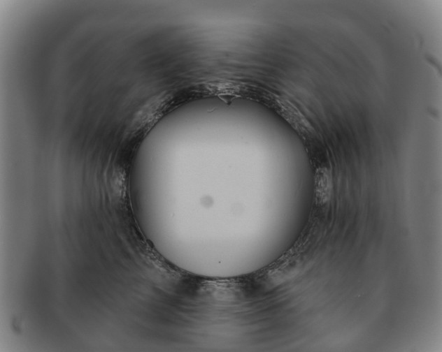 X0000091590713200708271243